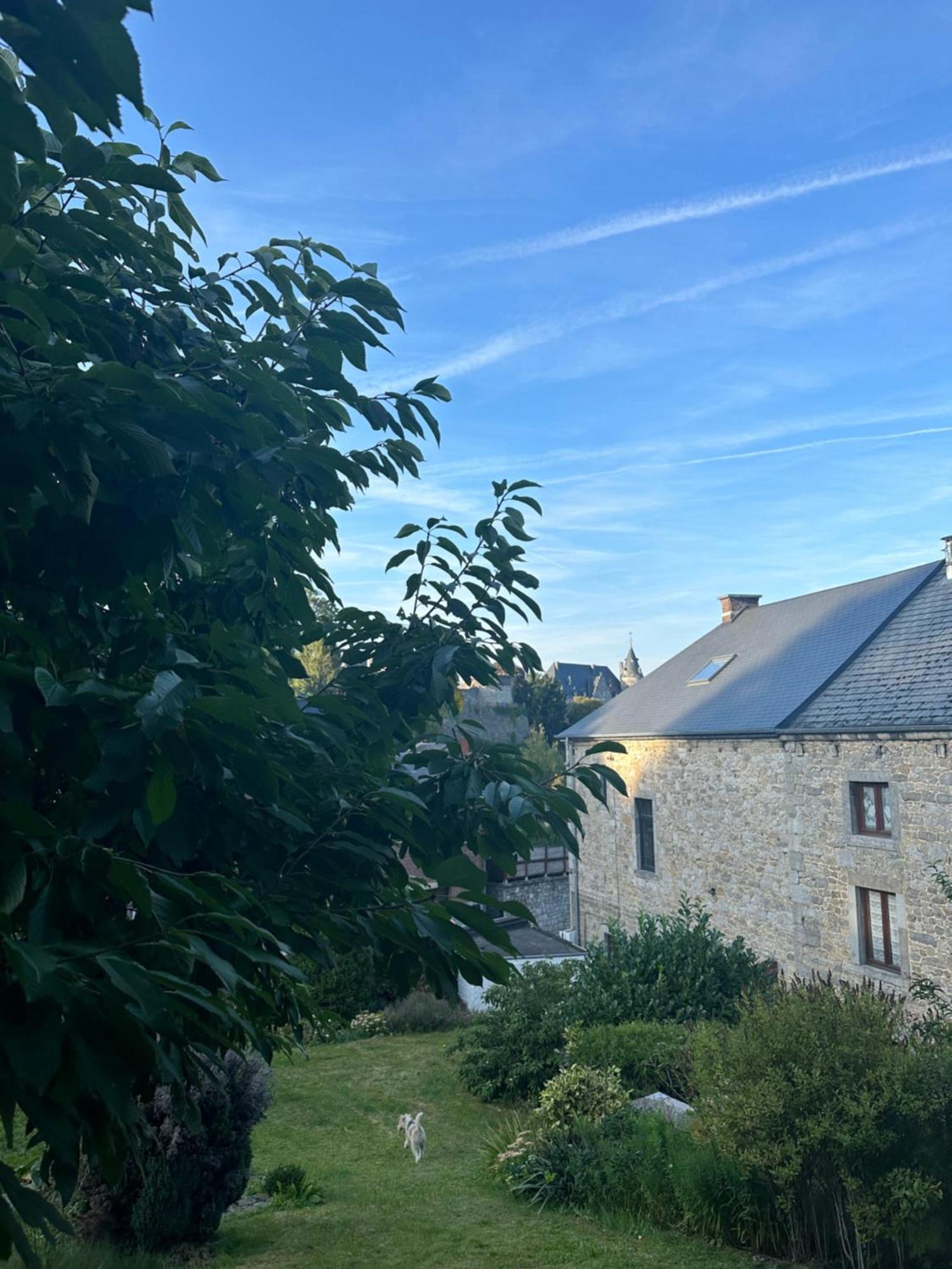 Maison Comtale Rochefort Exteriér fotografie